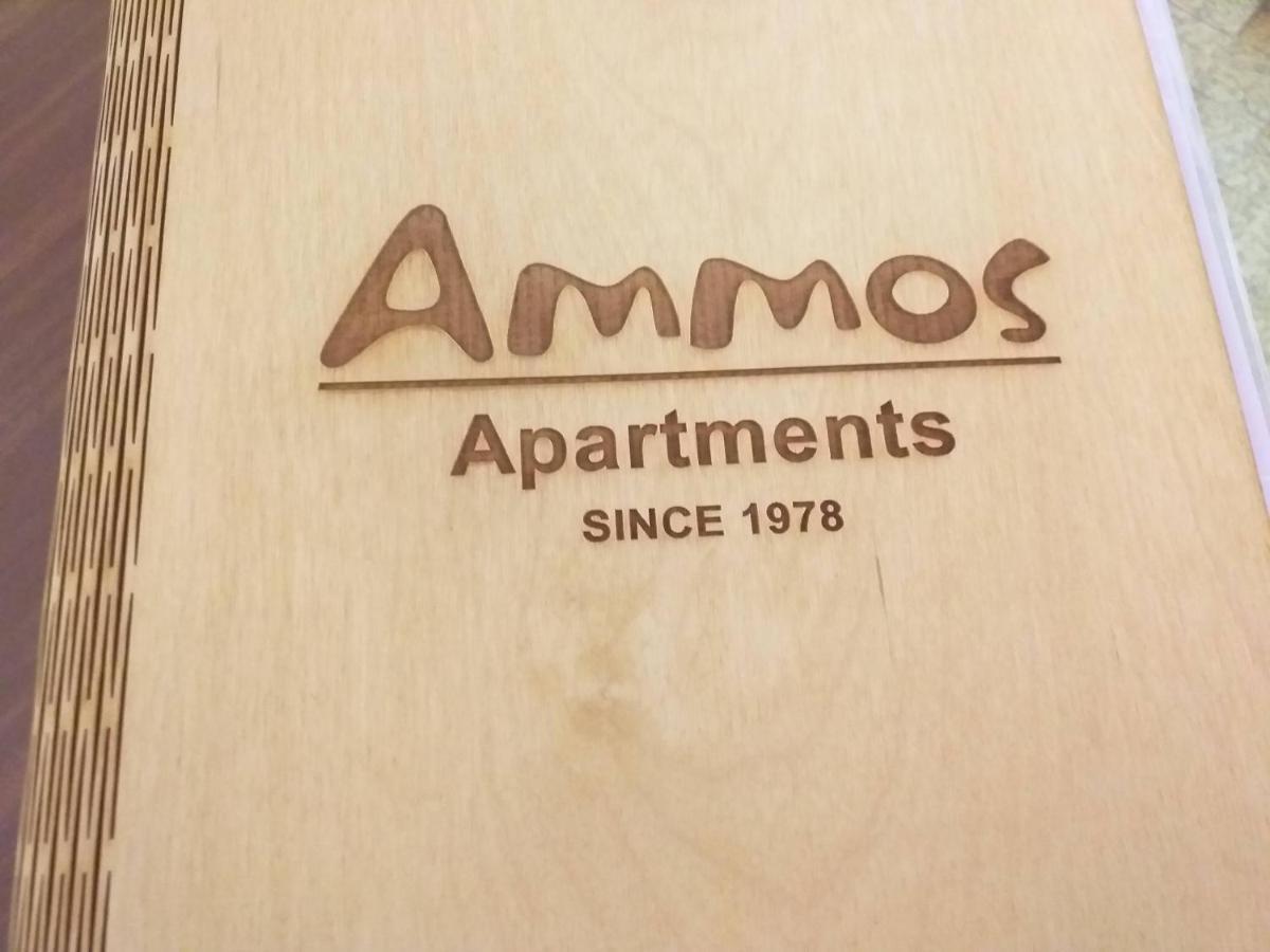 Ammos Apartments Ájosz Nikólaosz Kültér fotó